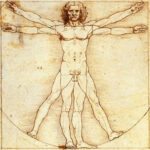 homem vitruviano leonardo davinci