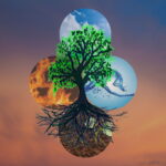 Imagem de uma árvore em primeiro-plano, atrás dela estão quatro círculos representando os elementos da natureza (terra, fogo, ar e água). O fundo da imagema é um grandiente de azul e vermelho.